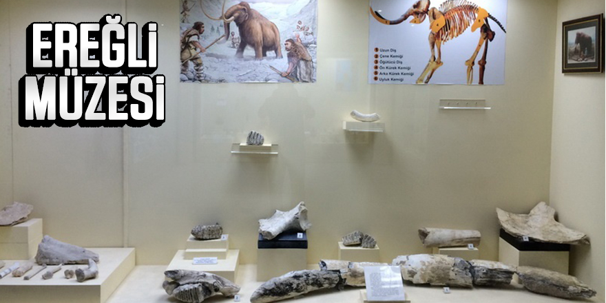 Ereğli Müzesi