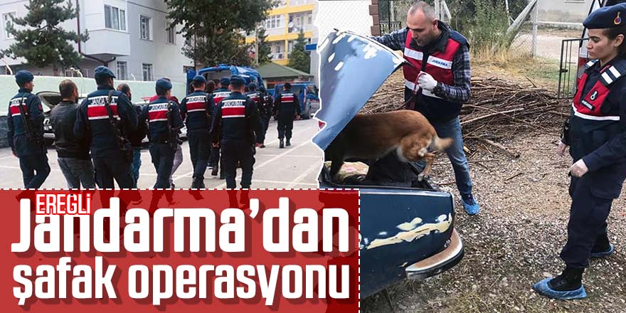 Jandarma’dan şafak operasyonu