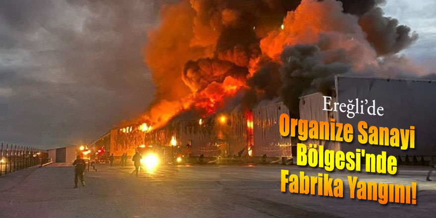 Ereğli Organize Sanayi Bölgesi'nde Fabrika Yangını!