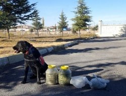 Depoda 3 kilo esrar ele geçirildi