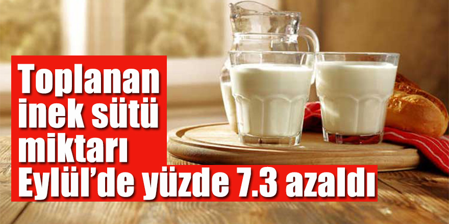 Toplanan inek sütü miktarı Eylül’de yüzde 7.3 azaldı