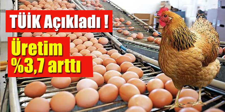 Kümes hayvancılığı üretimi verileri açıklandı