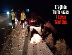 Tır ile römorkunda koyun taşıyan traktör çarpıştı