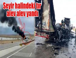 Seyir halindeki tır alev alev yandı