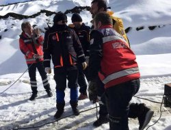 Kalp krizi geçiren avcı öldü, köpeği biran olsun yanından ayrılmadı