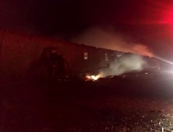 240 hayvan telef oldu