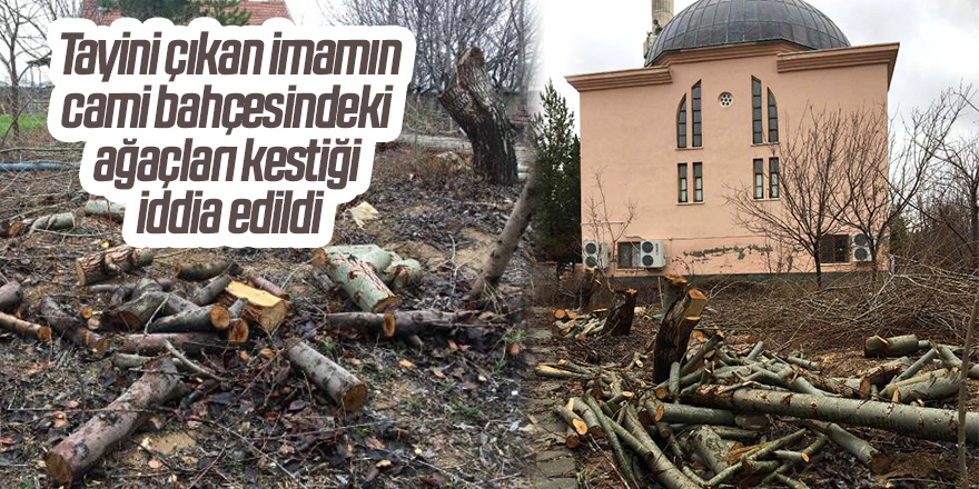 Tayini çıkan imamın, cami bahçesindeki ağaçları kestiği iddia edildi