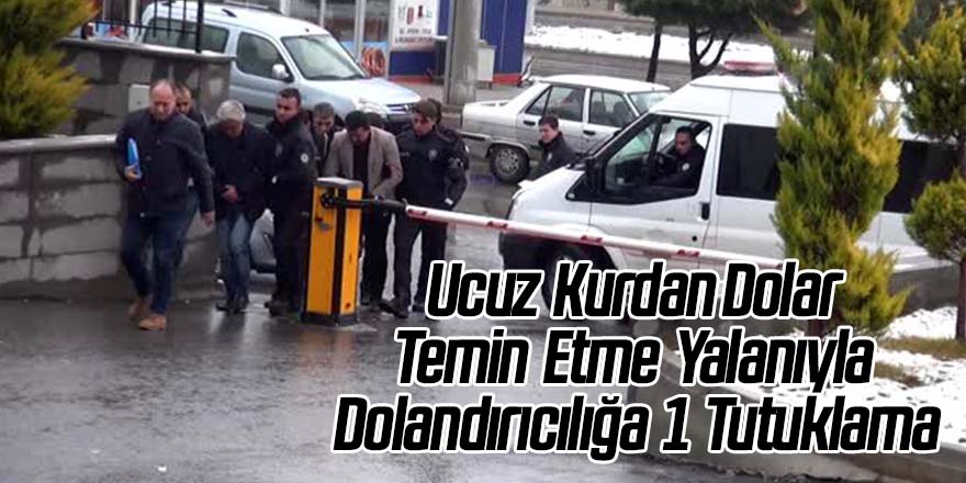 Ucuz kurdan dolar temin etme yalanıyla dolandırıcılığa 1 tutuklama