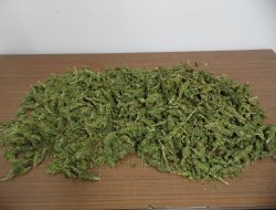 Ereğli’de 5 kilo esrar ile Eroin ele geçirildi