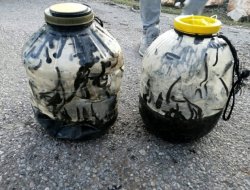 Sülük avına 73 bin lira para cezası