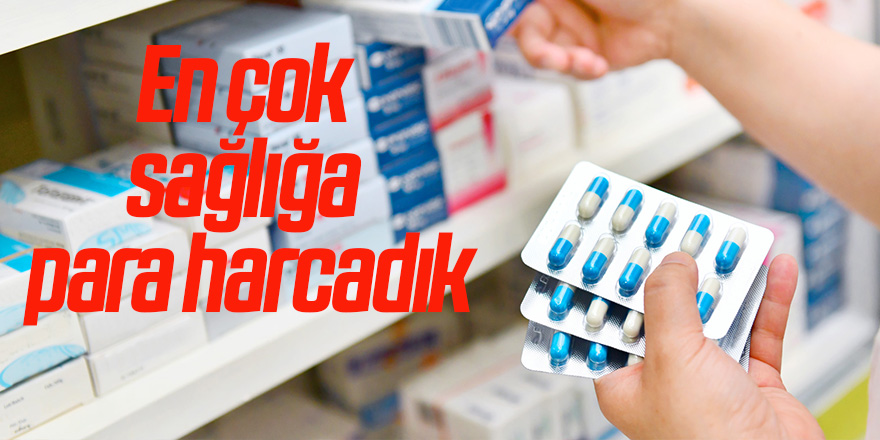 En çok sağlığa para harcadık