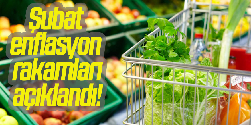 Şubat enflasyon oranı açıklandı!