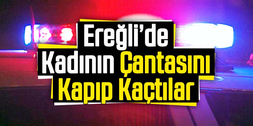 Kadının Çantasını Kapıp Kaçtılar
