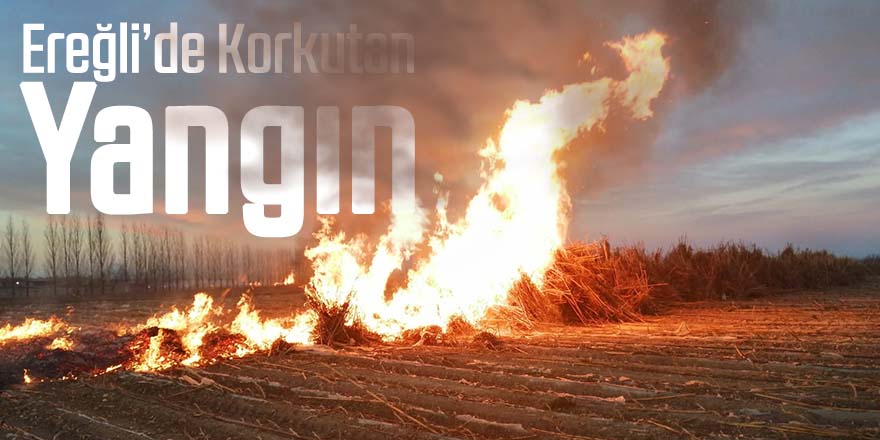 Ereğli'de Tarla'da çıkan yangın korkuttu