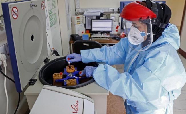 Küresel Salgın: Corona Virüs Hakkında Bilinmesi Gerekenler