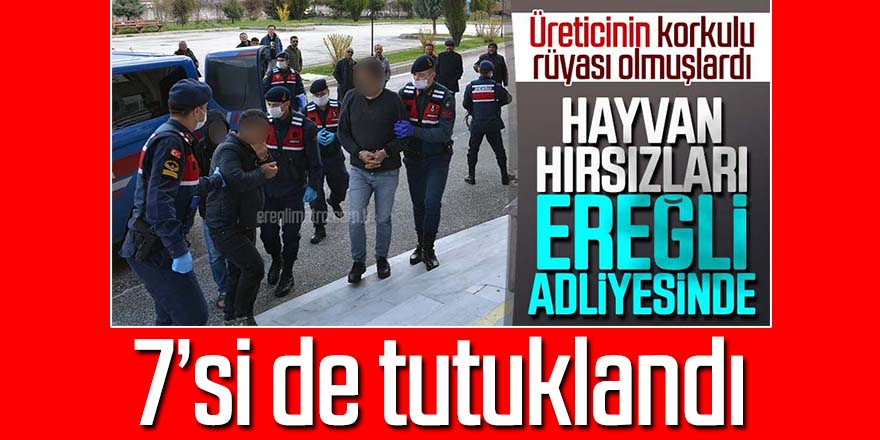 15 büyükbaş hayvanı çalan 7 şüpheli tutuklandı