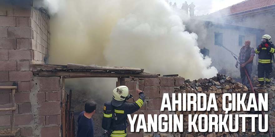 AHIRDA ÇIKAN YANGIN KORKUTTU