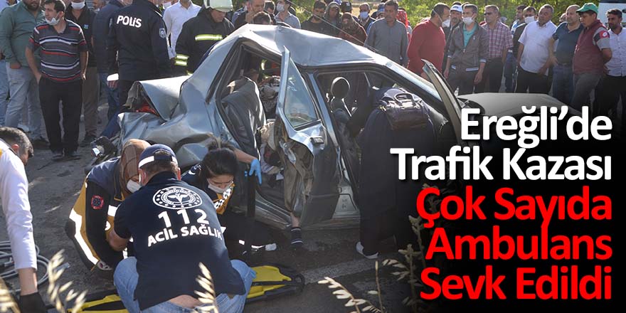 Köpek Kazaya Neden Oldu 4 Yaralı