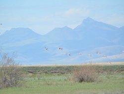 AKGÖL’DE NELER OLUYOR?
