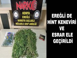 Ereğli’de hint keneviri ve esrar ele geçirdi.
