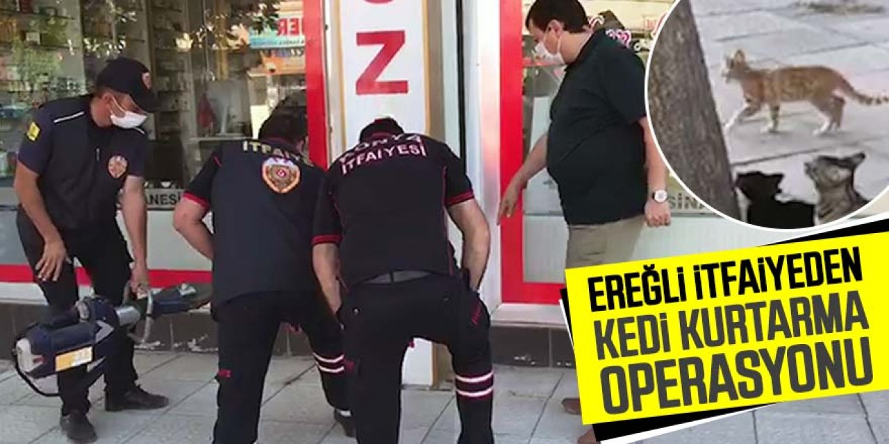 Tabela arkasındaki boşluğa düşen yavru kediyi itfaiye kurtardı