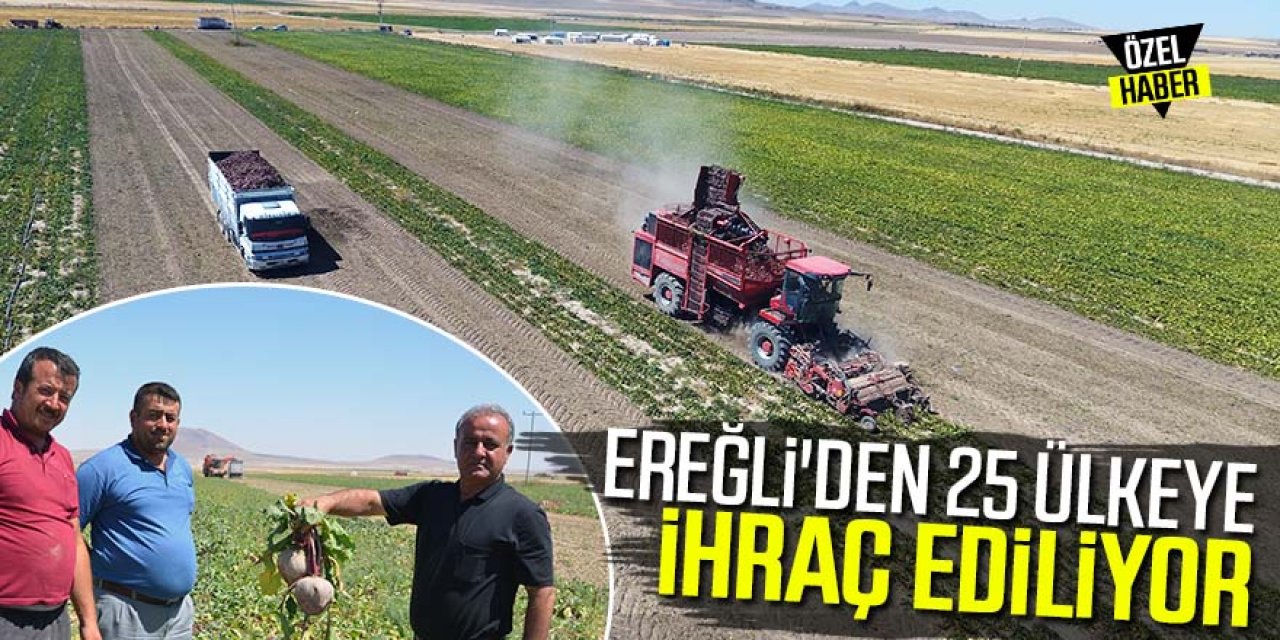 Ereğli'den 25 Ülkeye İhraç Ediliyor