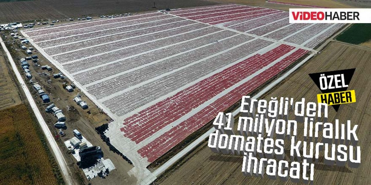 Ereğli'den 41 milyon liralık domates kurusu ihracatı