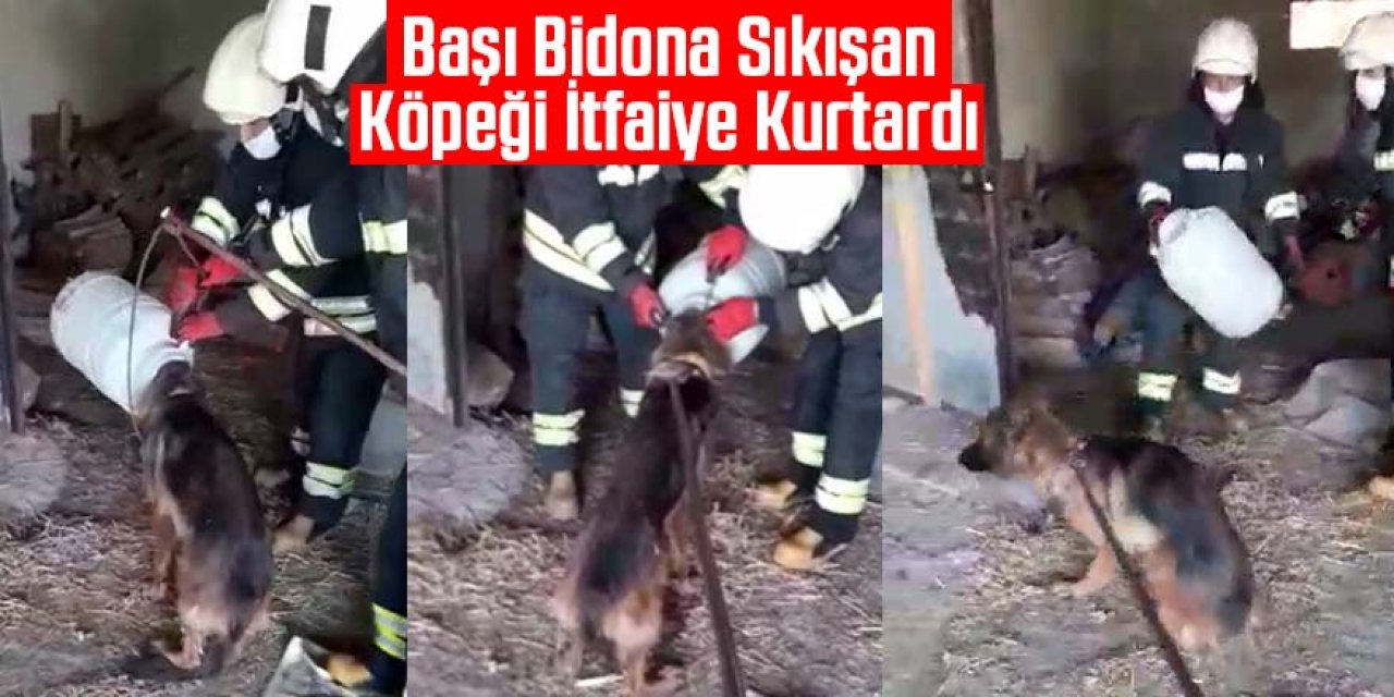 Başı bidona sıkışan köpeği itfaiye kurtardı