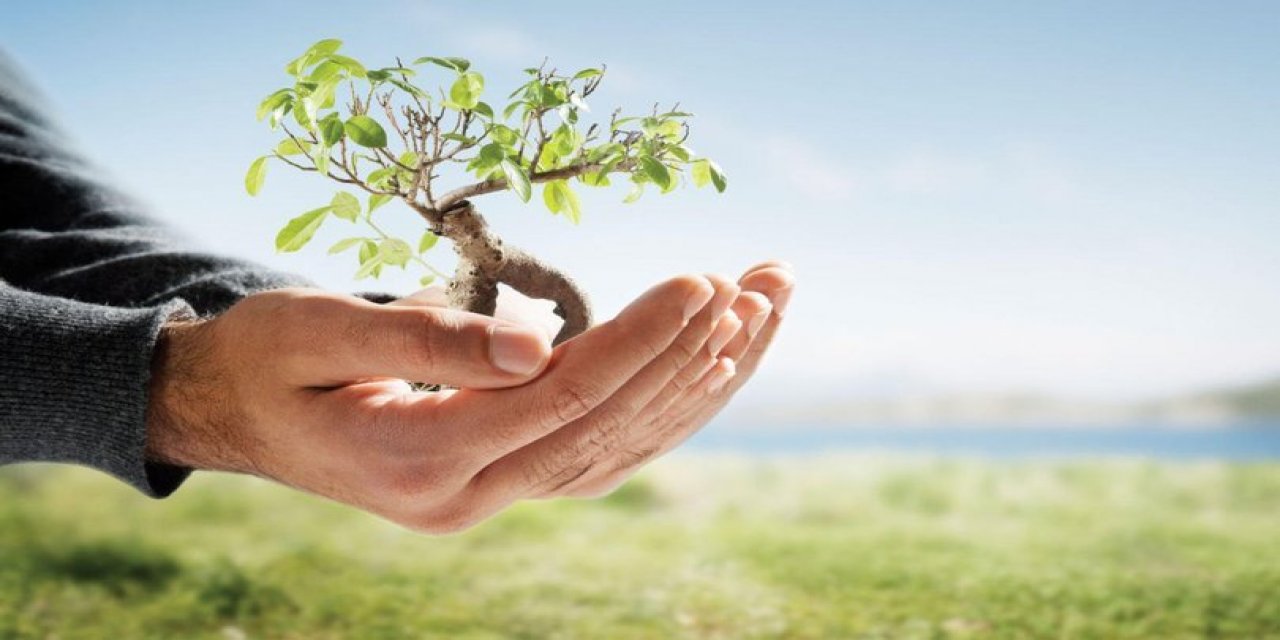 Çevre koruma harcama istatistikleri açıklandı