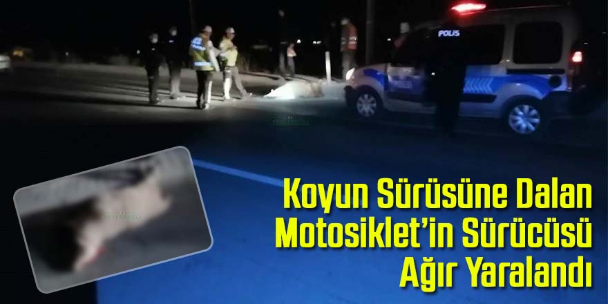 Koyun sürüsüne dalan Motosiklet’in sürücüsü ağır yaralandı