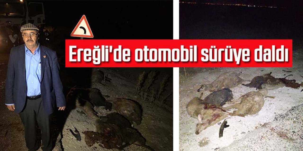 Otomobil koyun sürüsüne daldı; 30 koyun telef  oldu