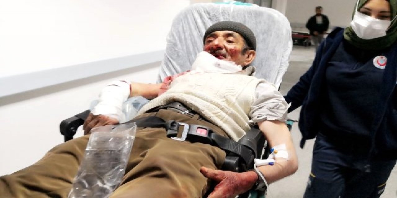 Kızgın Köpek yaşlı adamı hastanelik etti