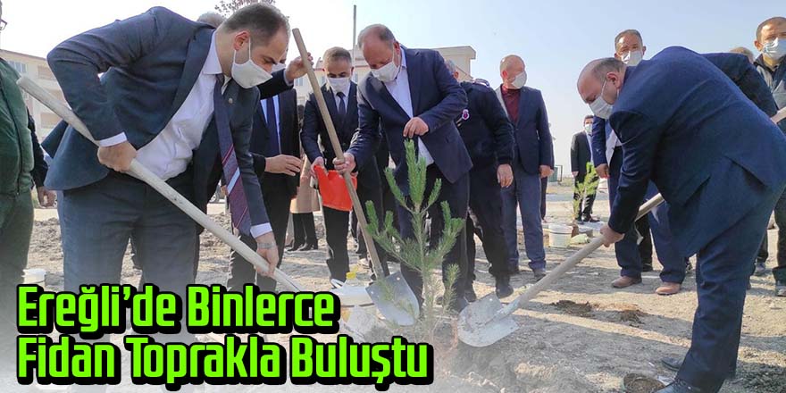 Ereğli'de fidanlar toprakla buluşturuldu