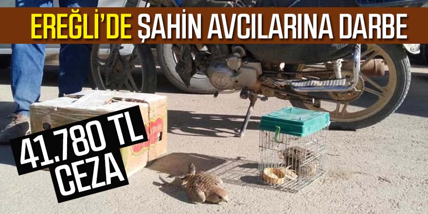 Kaçak şahin avcılarına 41 bin 780 lira ceza