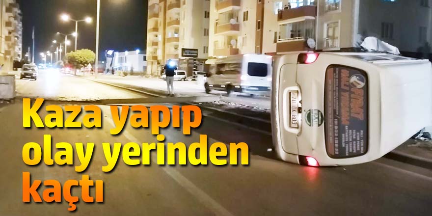 Kontrolden çıkan Minibüs aydınlatma direği devirdi