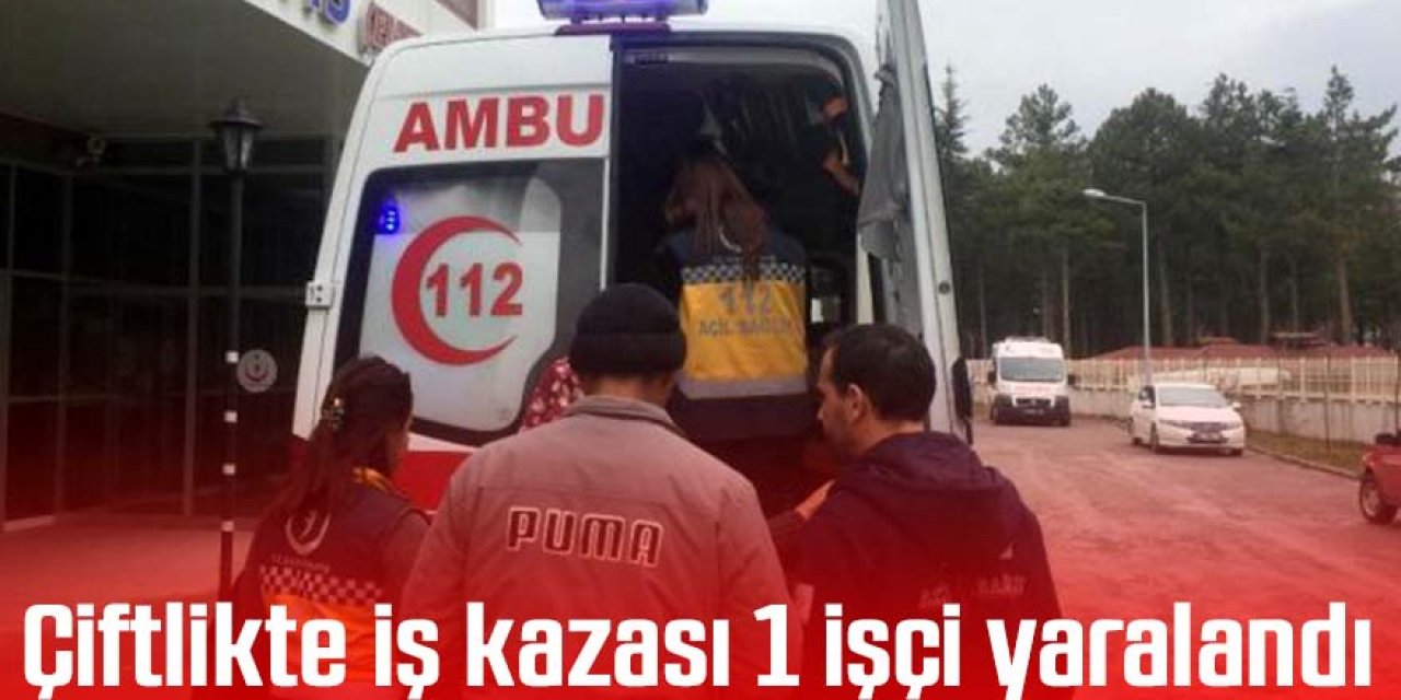 Çiftlikte iş kazası 1 işçi yaralandı