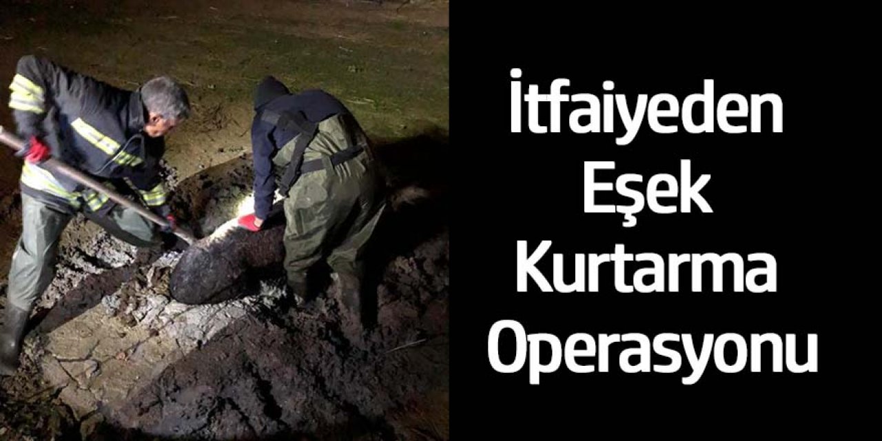 Bataklığa saplanan eşek, itfaiye ekiplerince kurtarıldı