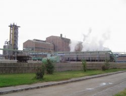 Ereğli Şeker’e Ereğli’den bir isim