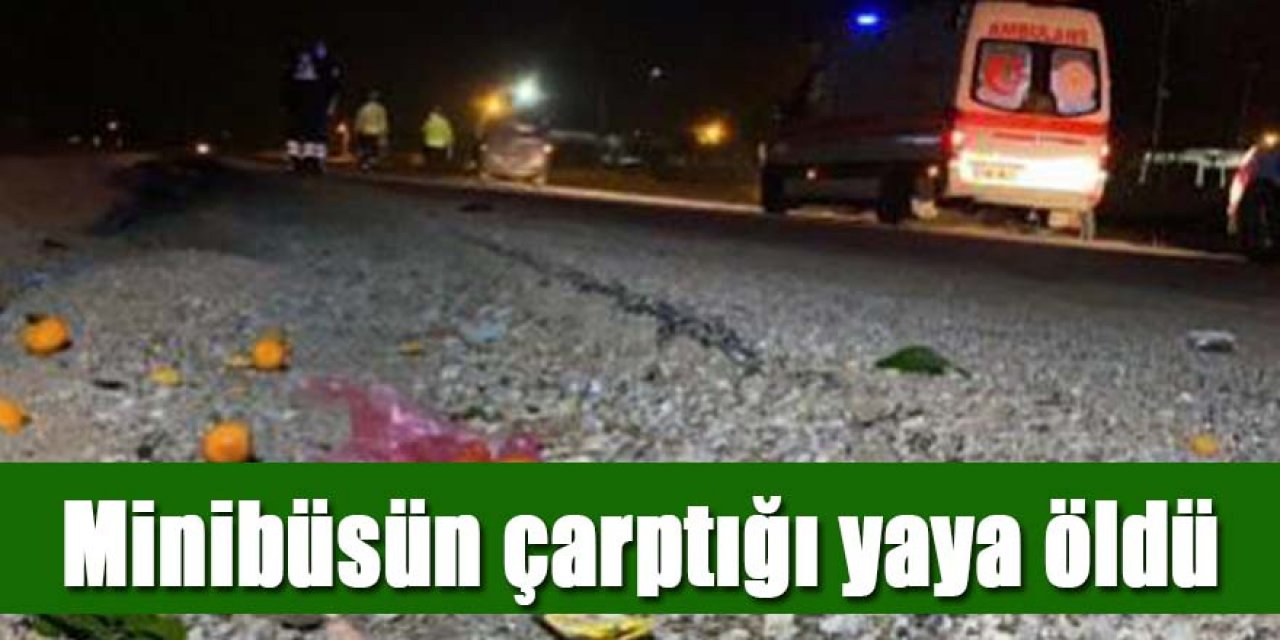  Minibüsün çarptığı yaya hayatını kaybetti