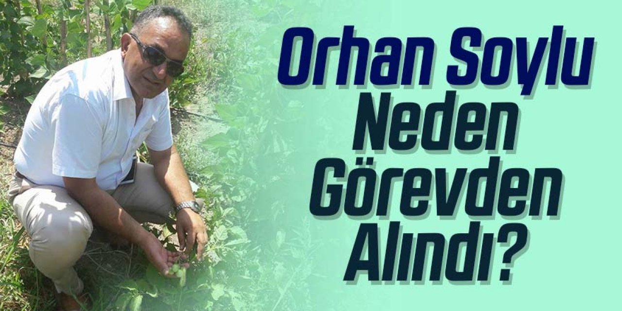 "Orhan Soylu Neden Görevden Alındı?"