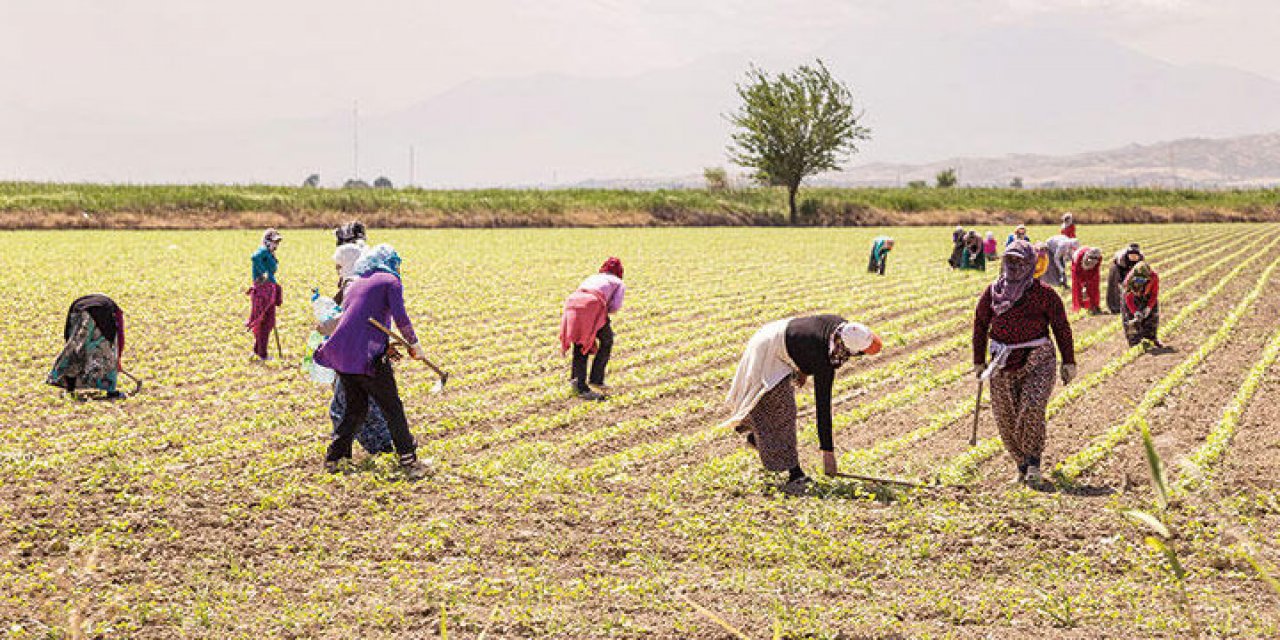 Tarımsal Girdi Fiyat Endeksi, Ekim'de yükseldi