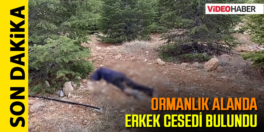 Ormanlık alanda erkek cesedi bulundu