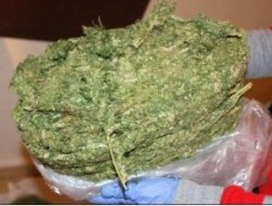 Ereğli’de uyuşturucuya geçit yok