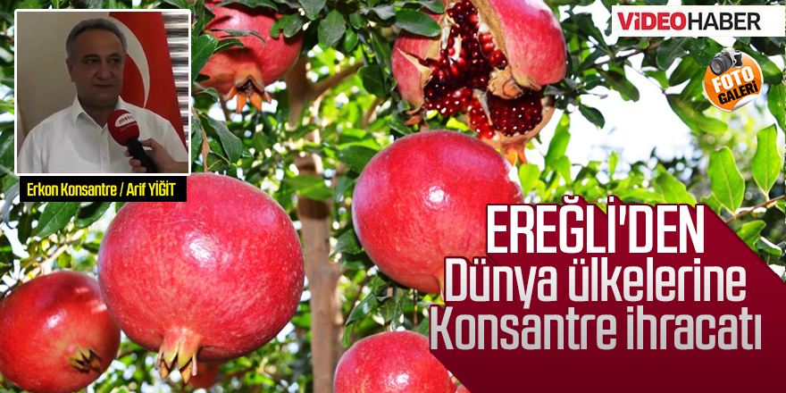TOROSLARDA YETİŞTİRİLEN NARLAR, EREĞLİ'DEN PANDEMİ SÜRECİNDE DÜNYAYA ÜLKELERİNE KONSANTRE OLARAK GÖNDERİLİYOR