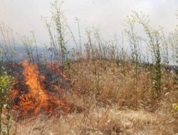 Kuruyan otlara dikkat!