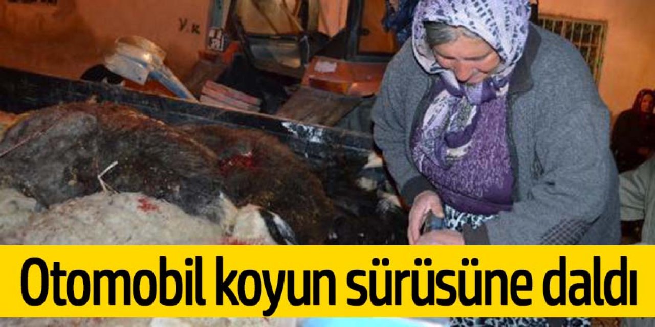 Otomobil koyun sürüsüne çarptı