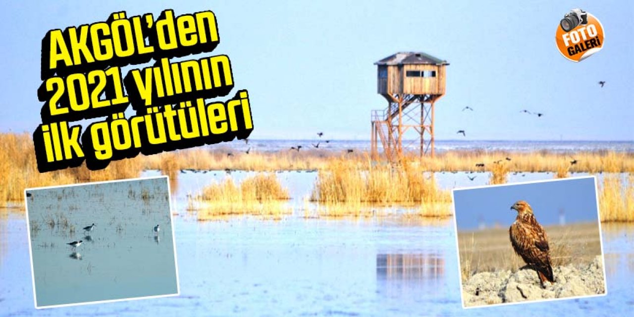 Doğa harikası kuş cenneti Akgöl’den 2021 yılının ilk görüntüleri