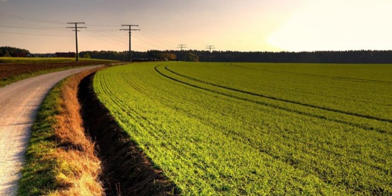 Konya Ereğli'de 78.700 m² tarla mahkemeden satılıktır