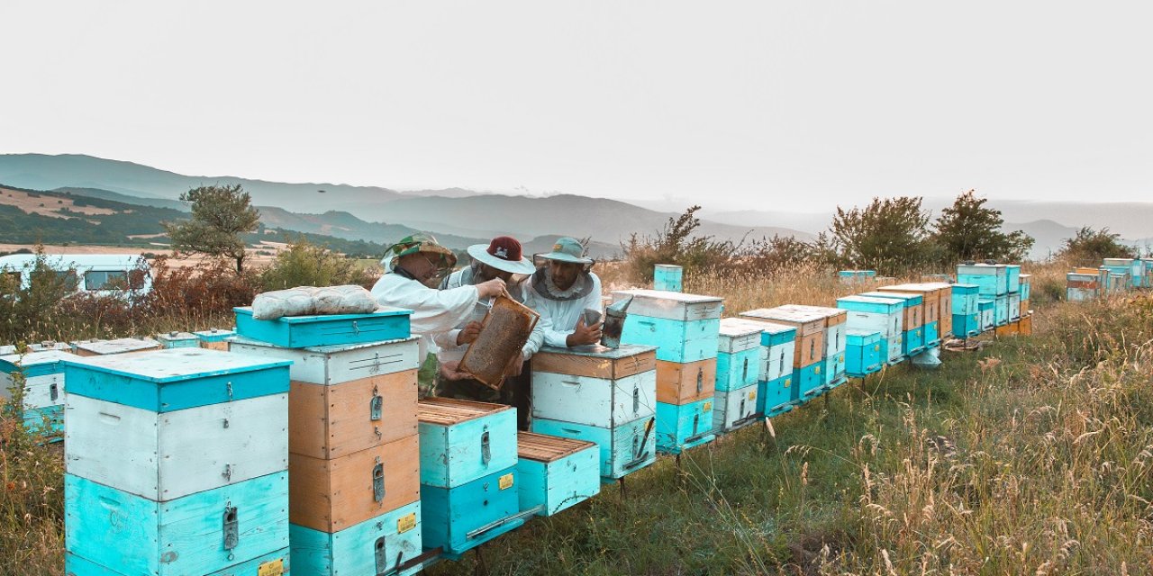 Propolisin Neden Bu Kadar Değerli?