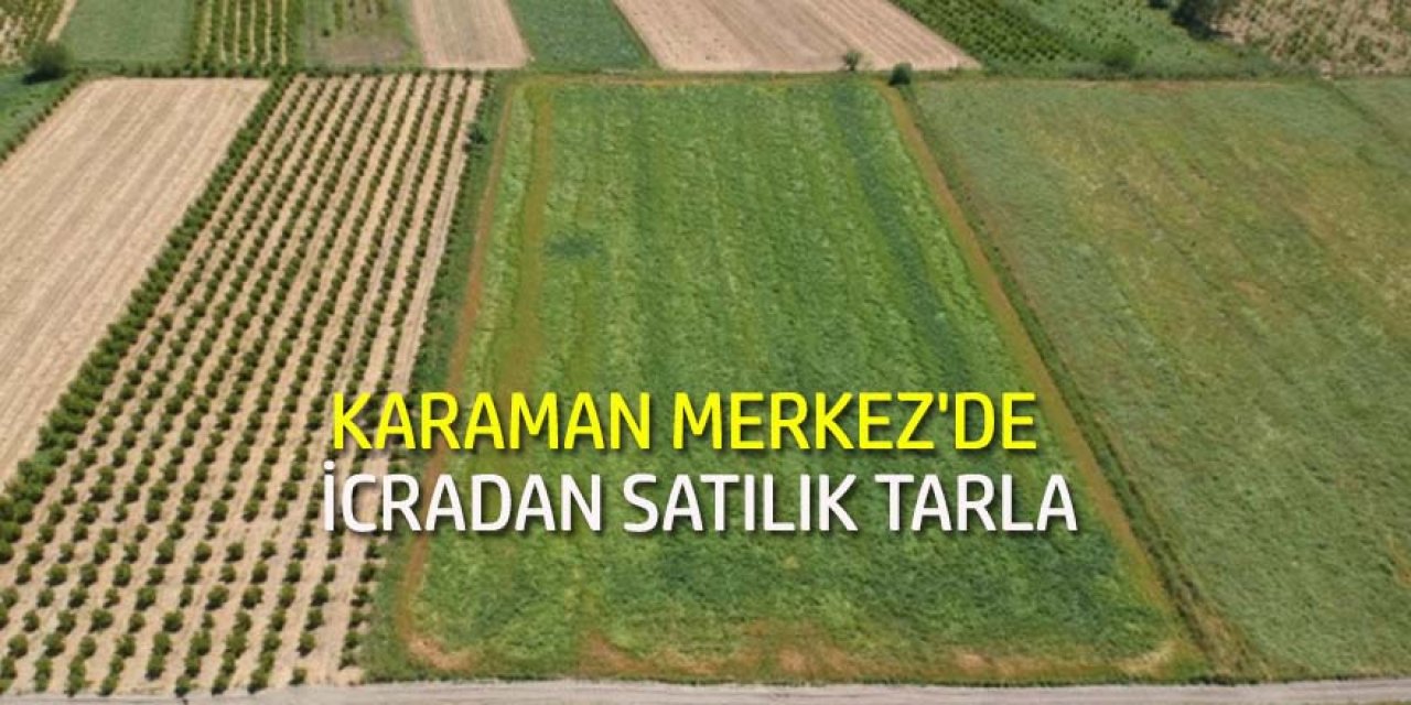 Karaman Merkez'de 25.620 m² tarla icradan satılık (çoklu satış)